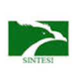 sintesi logo2